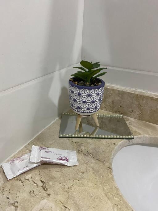 Apartamento Flat Elegante E Bem Localizado Feira de Santana Exterior foto